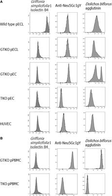 Effect of Factor H on Complement Alternative Pathway Activation in Human Serum Remains on Porcine Cells Lacking N-Glycolylneuraminic Acid